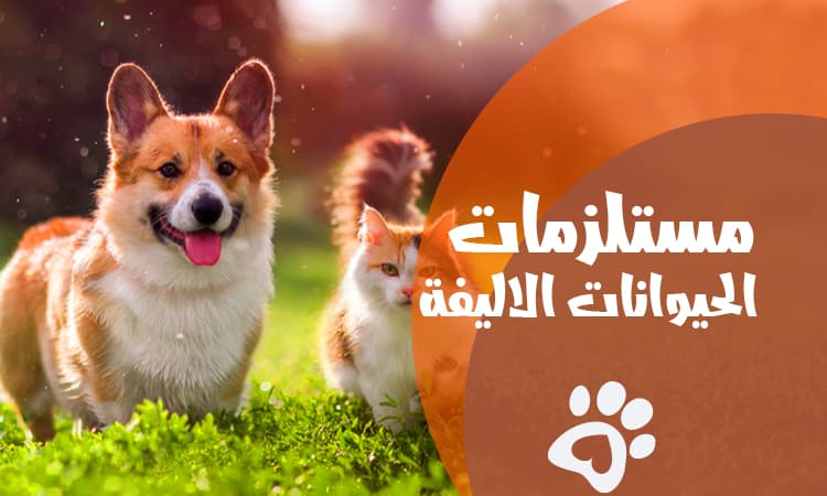 مستلزمات الحيوانات الاليفة