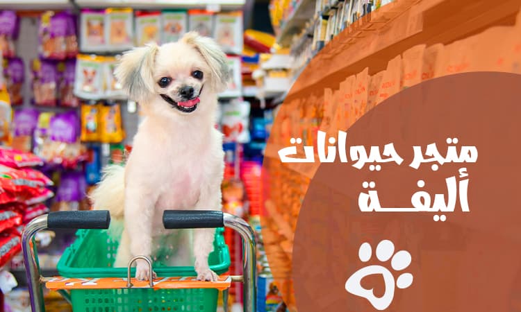 أفضل متجر حيوانات أليفة 2026 : الجودة والتنوع في مكان واحد