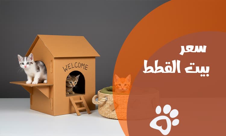 افضل سعر بيت القطط في مصر 2026 وأفضل الأنواع المتاحة