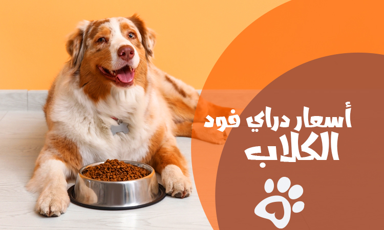 اسعار دراي فود الكلاب في مصر 2026