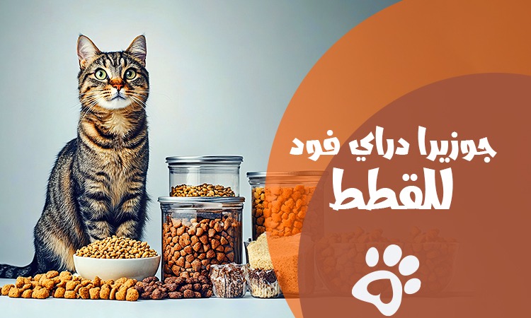 جوزيرا دراي فود للقطط: تغذية متكاملة وصحة أفضل دائمًا