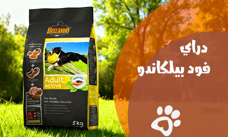 دراي فود بيلكاندو للكلاب:المميزات والأنواع وكيف تختار الأفضل