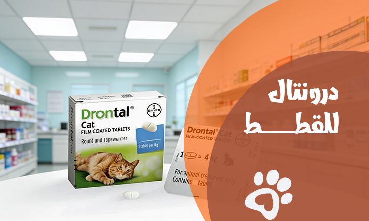 درونتال للقطط: الاستخدامات والجرعة وطريقة إعطاء الدواء بأمان
